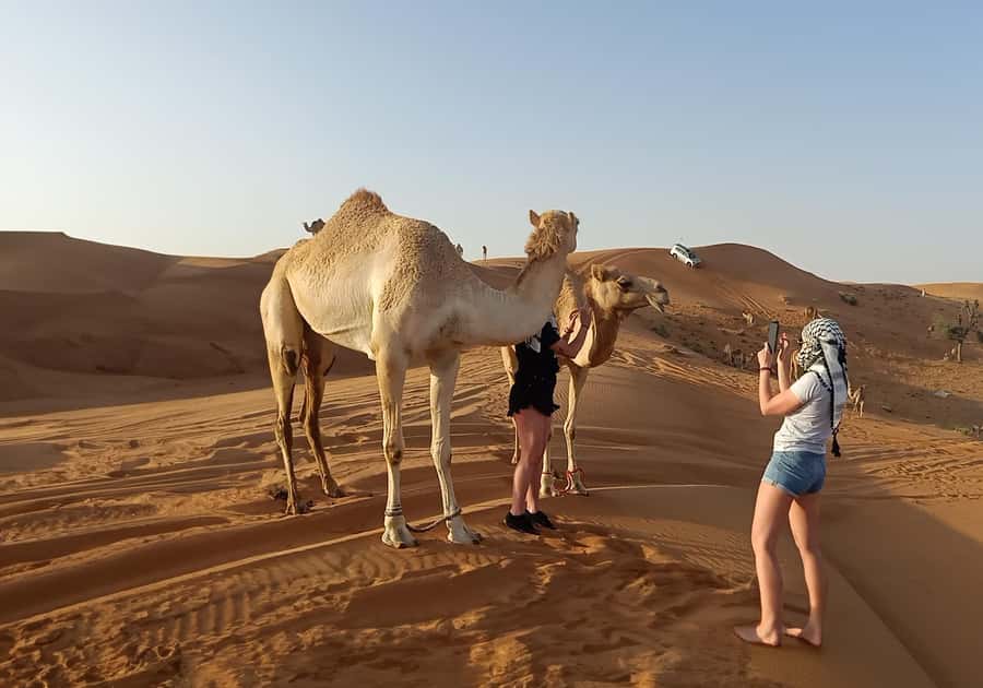 Dubai: Red Dunes Desert Safari with Premium Camp BBQ & Shows - From Dubai pickup to the first red-dune stop