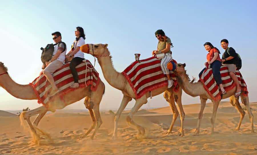 Dubai: Red Dunes Quad Bike with Sandboarding, Camels and BBQ - How the $65 price holds up