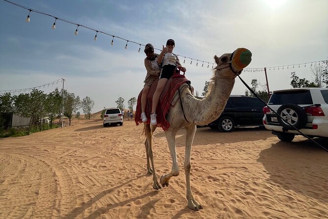 Dubai: Red Dunes, Sandsurf, Camel Ride, BBQ Dinner at Desert Camp - BBQ dinner with a practical warning