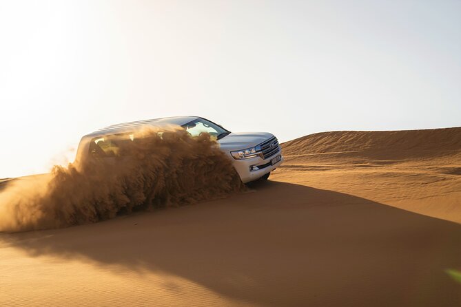 Dubai Red Dunes with Sandboarding, Camel Ride, Falcon & VIP Camp - Sunset, falcon photos and open desert views