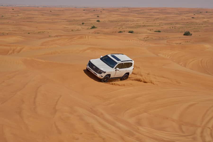 Dubai’s Best Desert Safari: Live Show & Gourmet BBQ Dinner - BBQ buffet dinner at Noble Camp