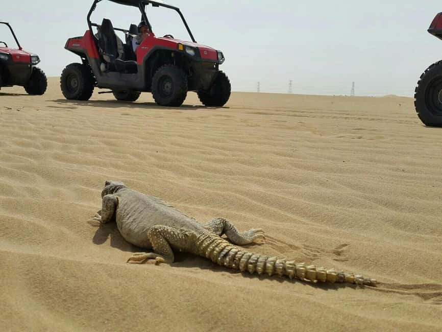 Dubai: Self-Drive Dune Buggy Safari with Pickup and Drop-Off - Key points to know before booking