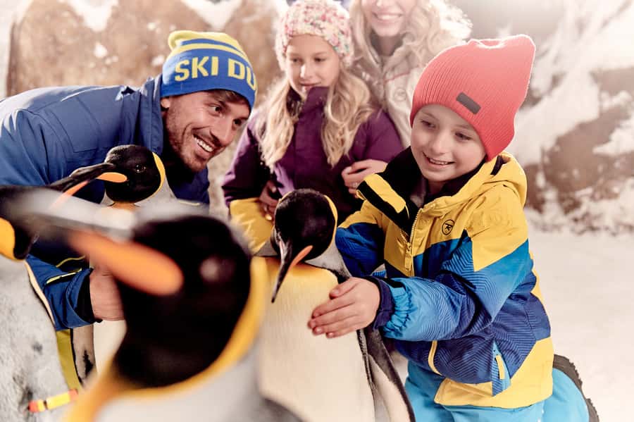 Dubai: Ski Dubai Snow Park Classic Pass - Crowds, queues, and the best rhythm for your visit