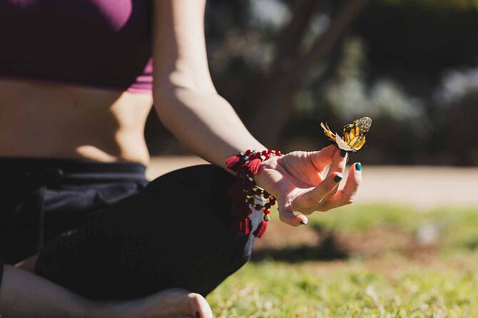Dubai: Skip-The-Line Ticket to Butterfly Garden - Finding the entrance and planning your visit