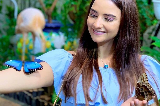 Dubai: Skip-The-Line Ticket to Butterfly Garden - Who will enjoy Dubai Butterfly Garden most?