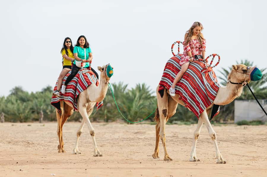 Dubai: Sunrise Balloon Flight with Camel Ride & Breakfast - Leaving Dubai before dawn