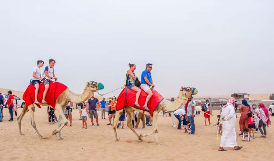 Dubai Sunrise Desert Camel Trek with Breakfast - Key points at a glance