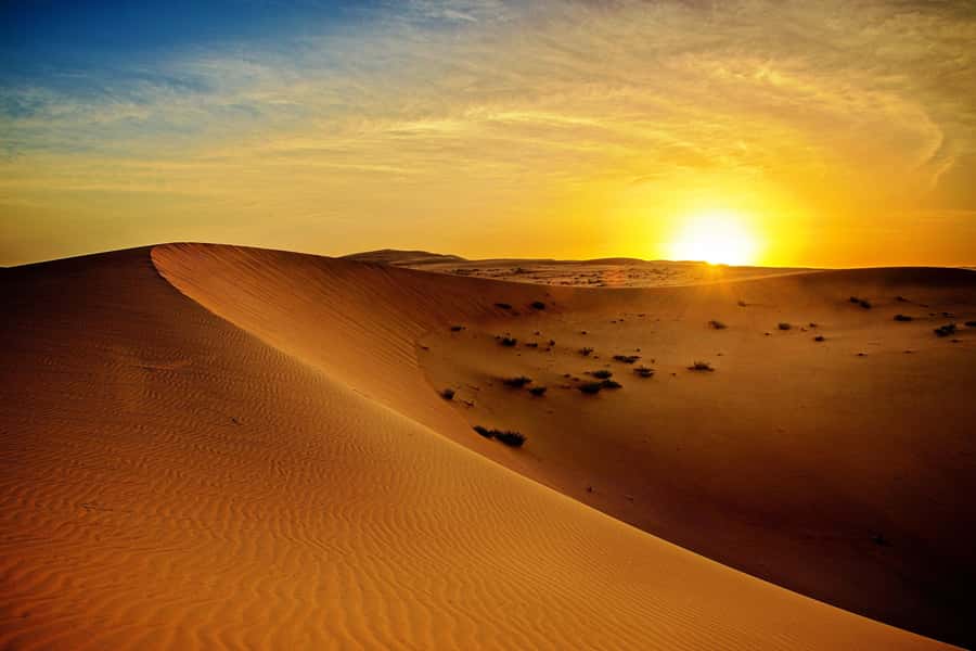 Dubai: Sunrise Desert Jeep Safari with Wildlife Experience - Why the 4 AM start is worth it