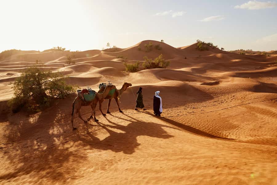 Dubai: Sunrise Hot Air Balloon Tour with E-Certificate - A sunrise start above the Arabian Desert