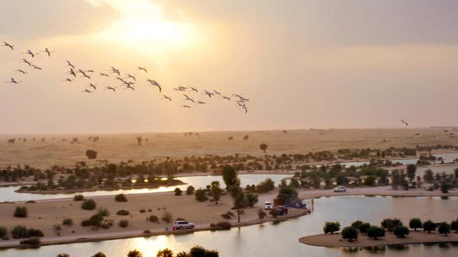 Dubai: Sunrise Hot Air Balloon Tour with E-Certificate - The return to Dubai