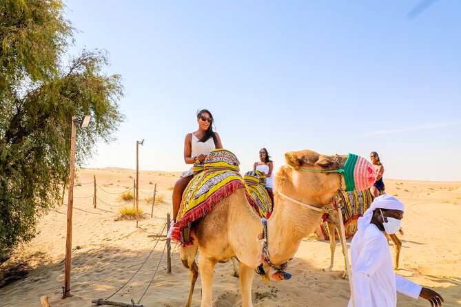 Dubai: Sunset Camel Trek, Al Khayma Camp, Stargazing & BBQ - The sunset camel trek is the heart of the evening