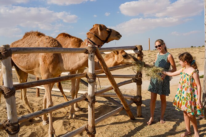 Dubai: Sunset Camel Trek, Al Khayma Camp, Stargazing & BBQ - How the service can affect your evening
