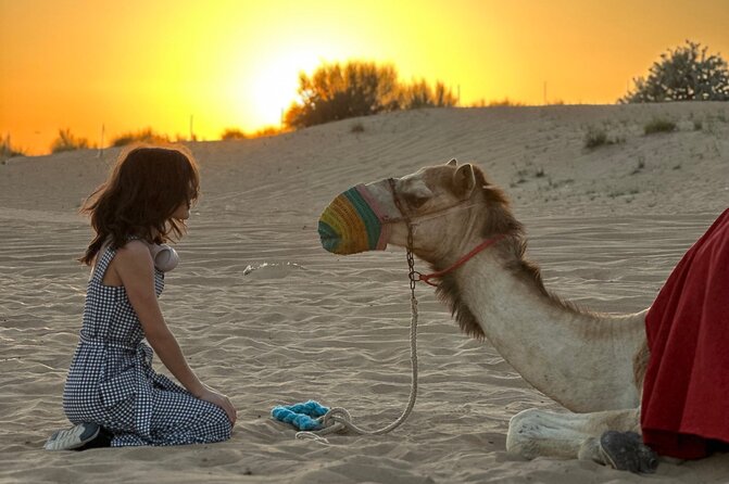 Dubai Sunset Red Dune Desert Safari, Sandboarding and Camel Ride - Is $40 good value for this safari?