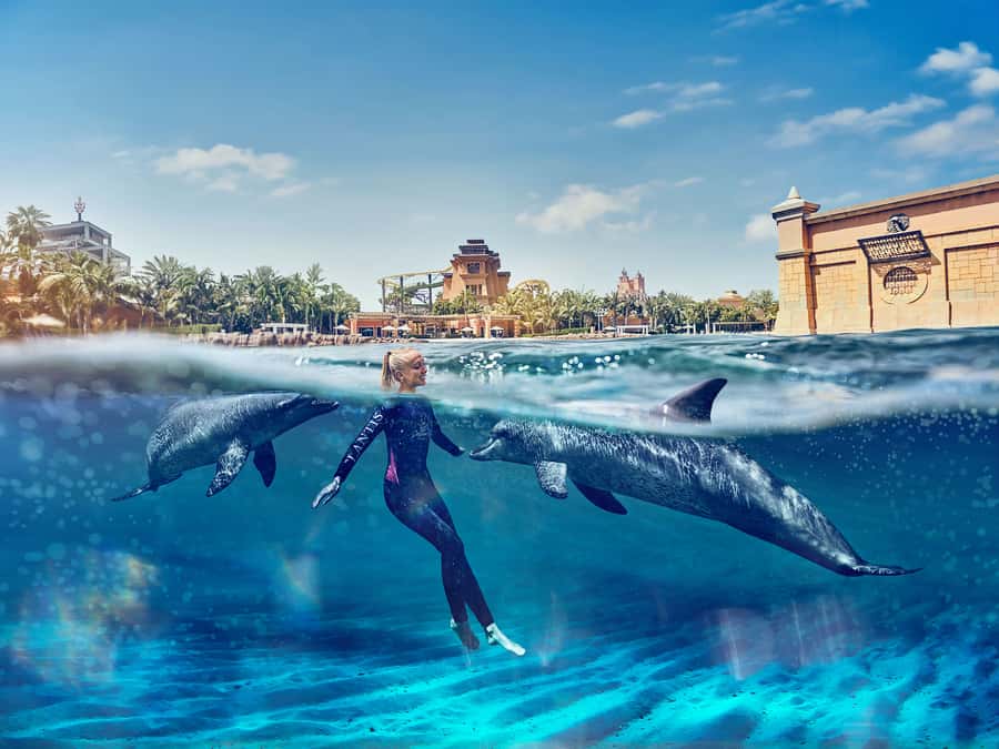 Dubai: Swim with Dolphins at Atlantis Waterpark - Meeting your dolphin at Dolphin Bay