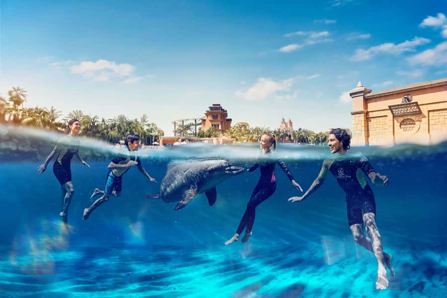 Dubai: Swim with Dolphins at Atlantis Waterpark - The trainers make the difference