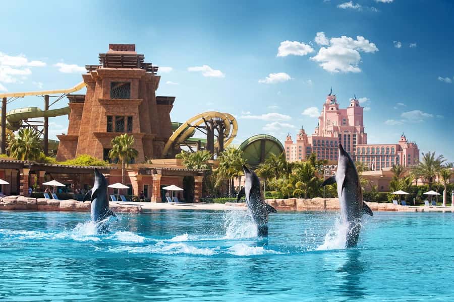 Dubai: Swim with Dolphins at Atlantis Waterpark - What 30 minutes in three-meter water really means