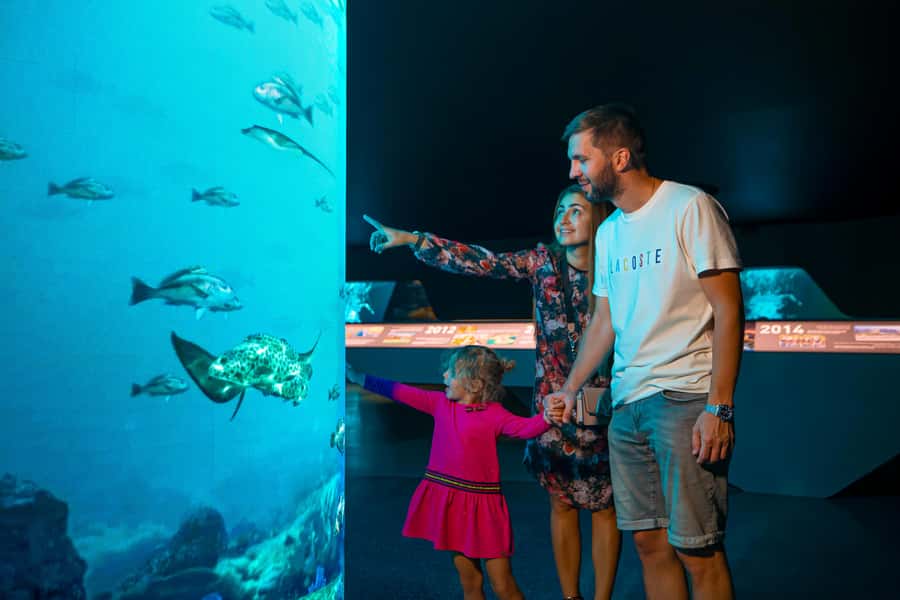 Dubai: The View At The Palm Observatory Entry Ticket - Level 54 and the VIP option