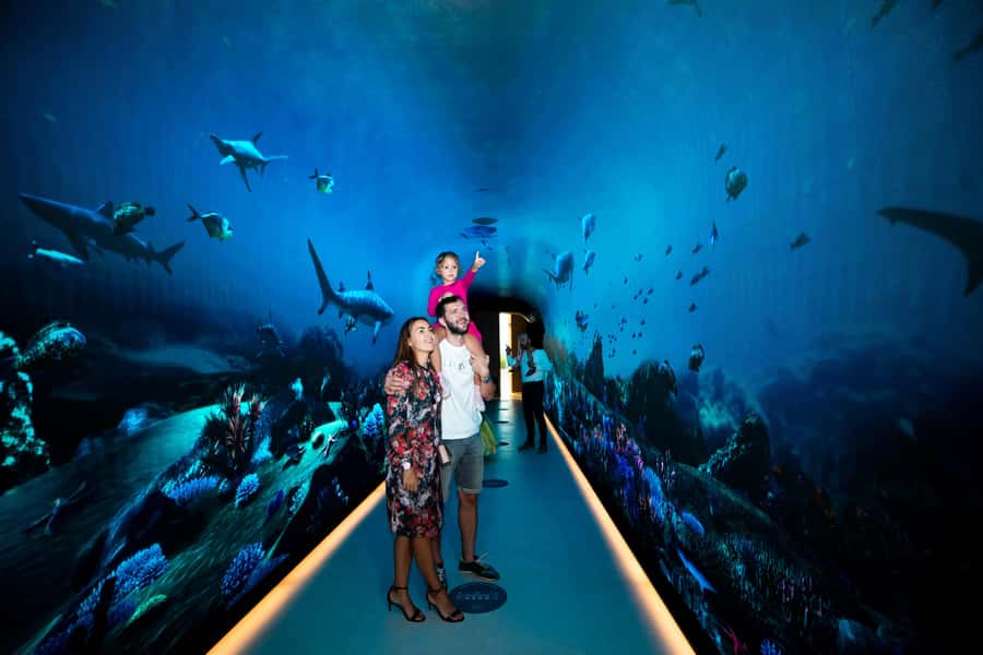 Dubai: The View At The Palm Observatory Entry Ticket - How much time should you allow?