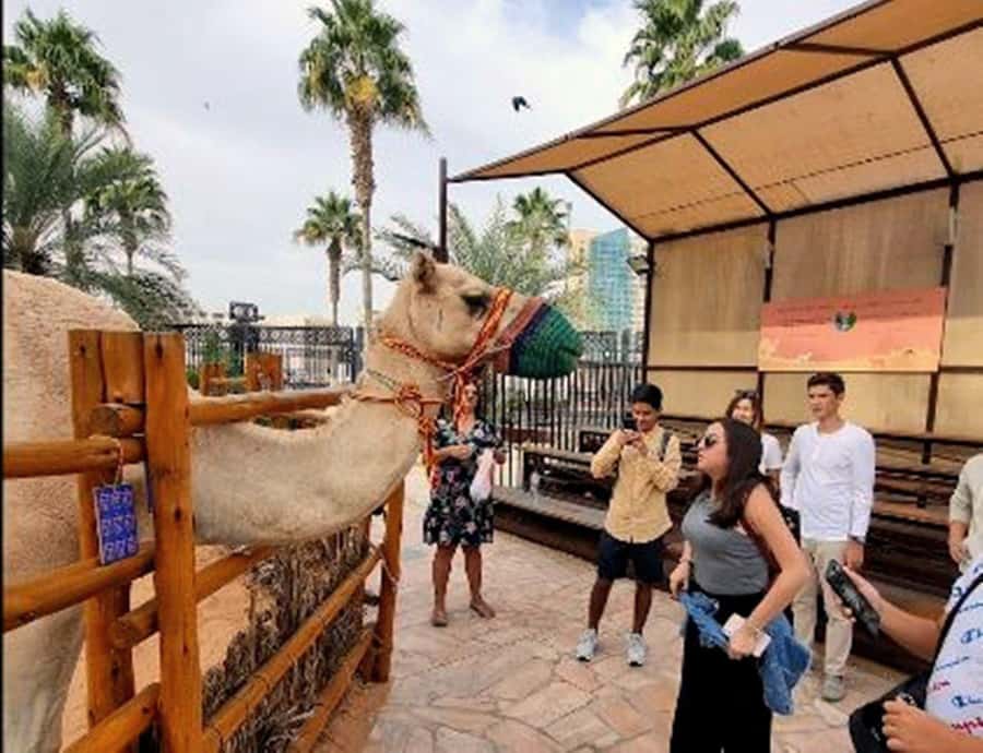 Dubai: Top Must-See Sights Tour with Burj Khalifa At The Top - The Future Museum, Dubai Frame, and Zabeel Palace