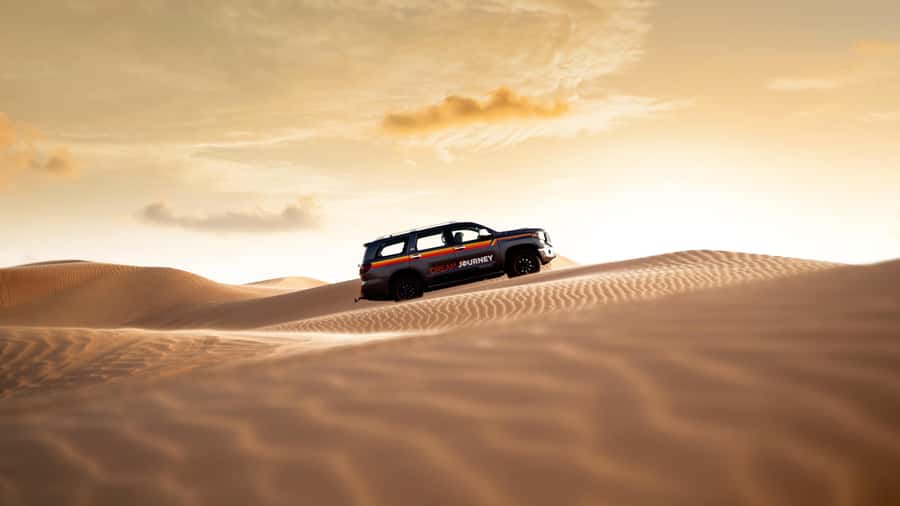 Dubai Waves & Dunes: Luxury Yacht Cruise w/ Red Dunes Safari - Which guide details matter to you