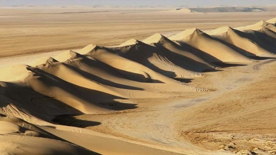 Dune Bashing, Sandboarding, Camel Ride & Optional ATV Ride - Dune bashing in a professional 4x4