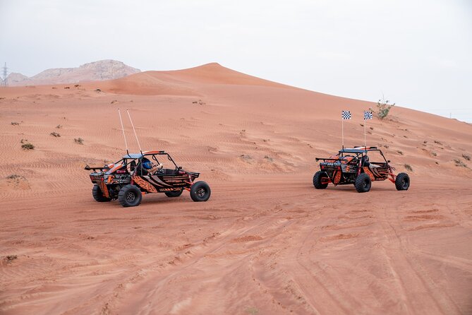 Dune Buggy Experience & Fossil Discovery in Mleiha National Park - Why the private format matters
