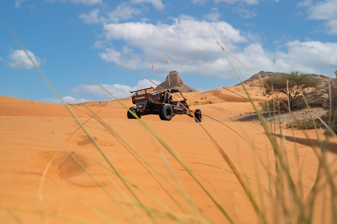 Dune Buggy & Private Dinner in the Dunes in Mleiha National Park - The ride through Mleiha’s open dunes