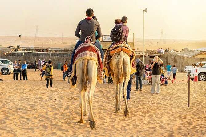 DuneBashing, CamelRide & ATV Bike Desert Safari Experince in Doha - A short camel ride at Sealine Beach