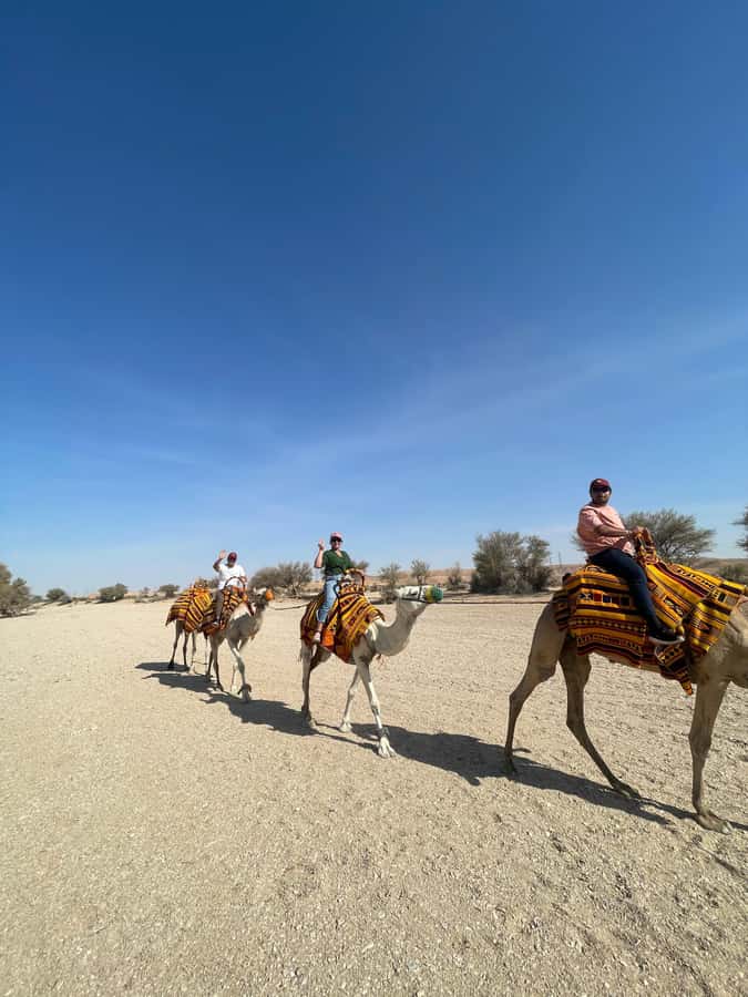 Edge of The World Riyadh,Camel Ride ,Bat Cave Visit & Dinner - A short camel ride, not a desert trek