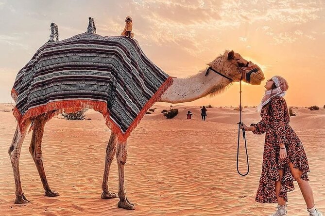 Evening Desert Safari & BBQ With Live Shows,Camel Ride,Falcon pic - Who should book this desert safari?