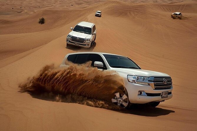 Evening Desert Safari & BBQ With Live Shows,Camel Ride,Falcon pic - Sandboarding and two short camel rides