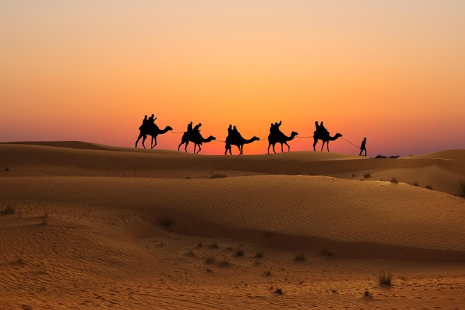 Evening Desert Safari in Dubai, Sandboard & BBQ Dinner - BBQ dinner and entertainment under the stars