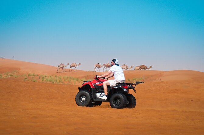 Evening Quad Bike, Desert Safari in Dubai , BBQ Dinner and Shows - Thirty minutes on a Lahbab quad bike
