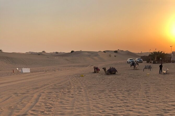 Exhilarating Desert Safari, Including BBQ Dinner from Dubai - Group size, comfort, and timing