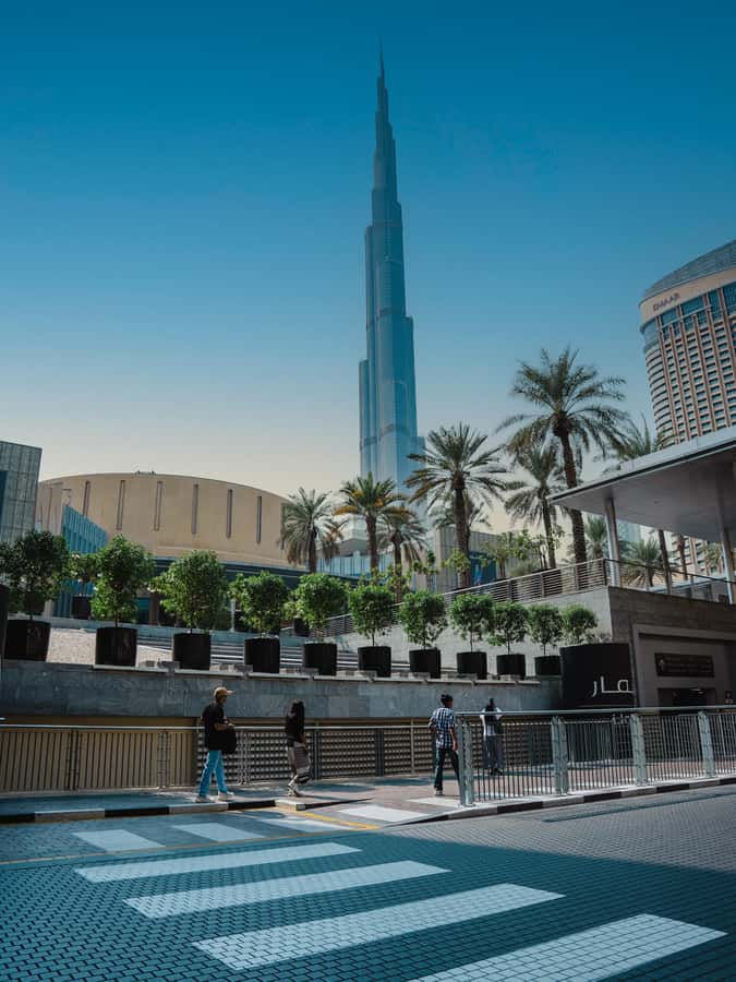From Abu Dhabi: Dubai Full-Day Sightseeing Tour - The Museum of the Future and Dubai Frame