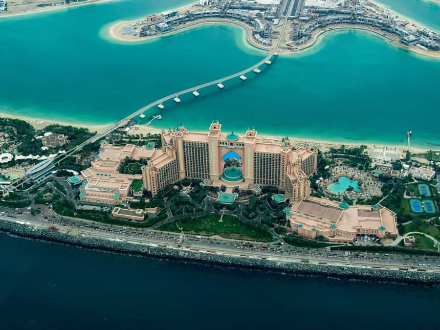From Abu Dhabi: Explore Dubai with Optional Lunch - Why this Abu Dhabi to Dubai trip works