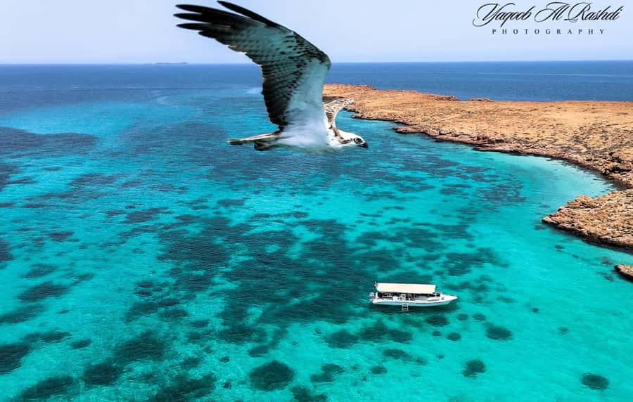 From Al-Seeb: Dimaniyat Islands Boat Trip with Snorkeling - Reaching the Dimaniyat Islands from Al-Seeb