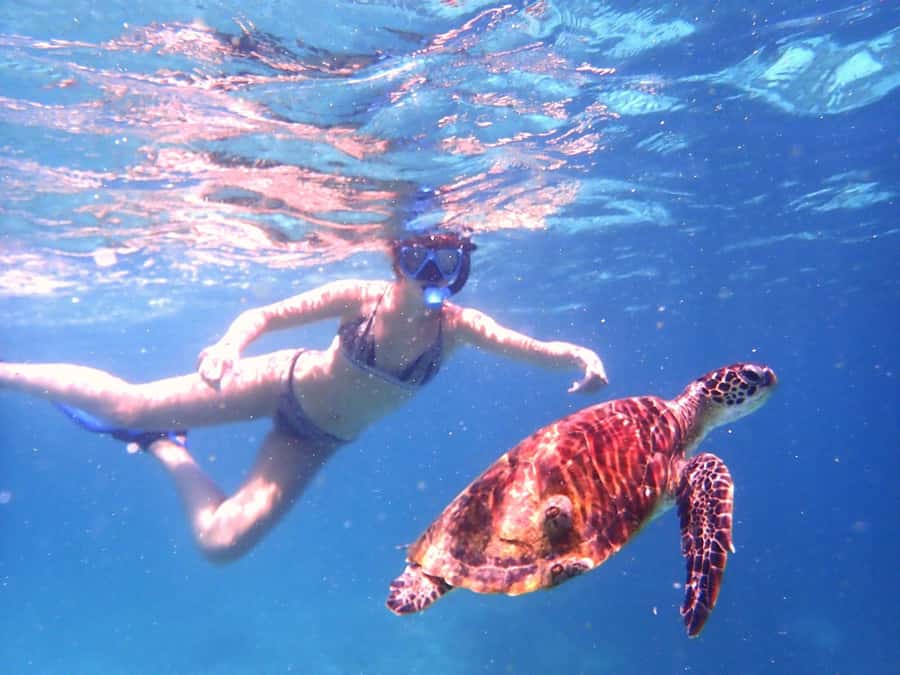 From Al-Seeb: Dimaniyat Islands Boat Trip with Snorkeling - What the guides add to the experience