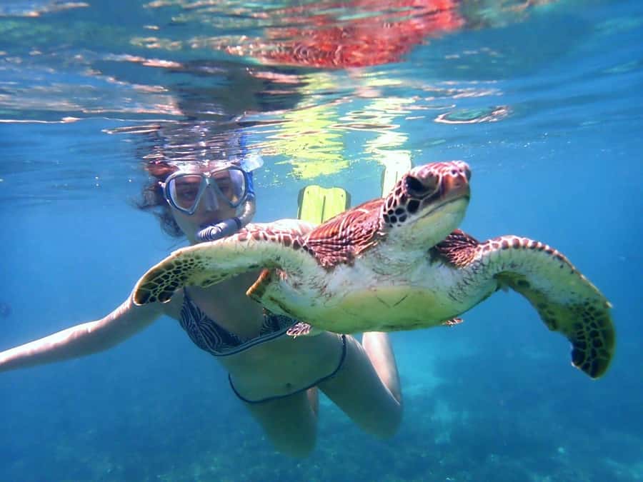 From Al-Seeb: Dimaniyat Islands Boat Trip with Snorkeling - Who should book this trip?