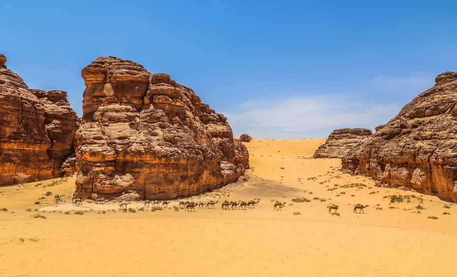 From AlUla: Hegra Tour - Winter Park is part of the timing, not just the meeting point