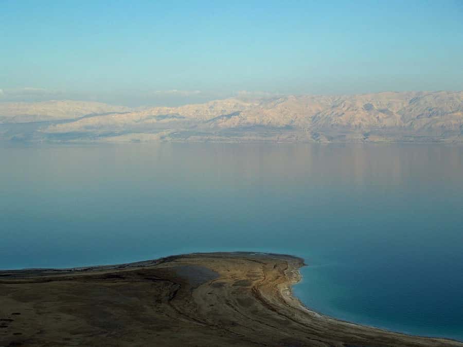 From Amman: Dead Sea and Wadi Mujib Trail Full-Day Tour - Should you book this Amman day trip?