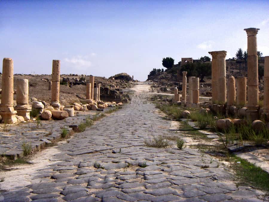 From Amman: Jerash, Ajloun Castle or Umm Qais Private Tour - Why Jerash deserves the largest share of your day
