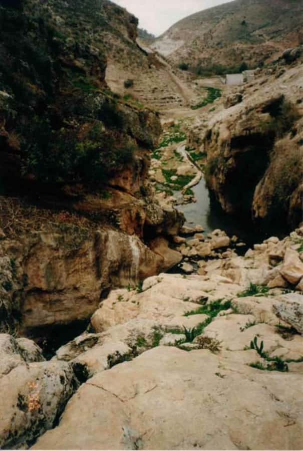From Amman: Jerash, Umm Qais, and Jesus' Cave Private Trip - Lunch near Jerash, with an important planning note