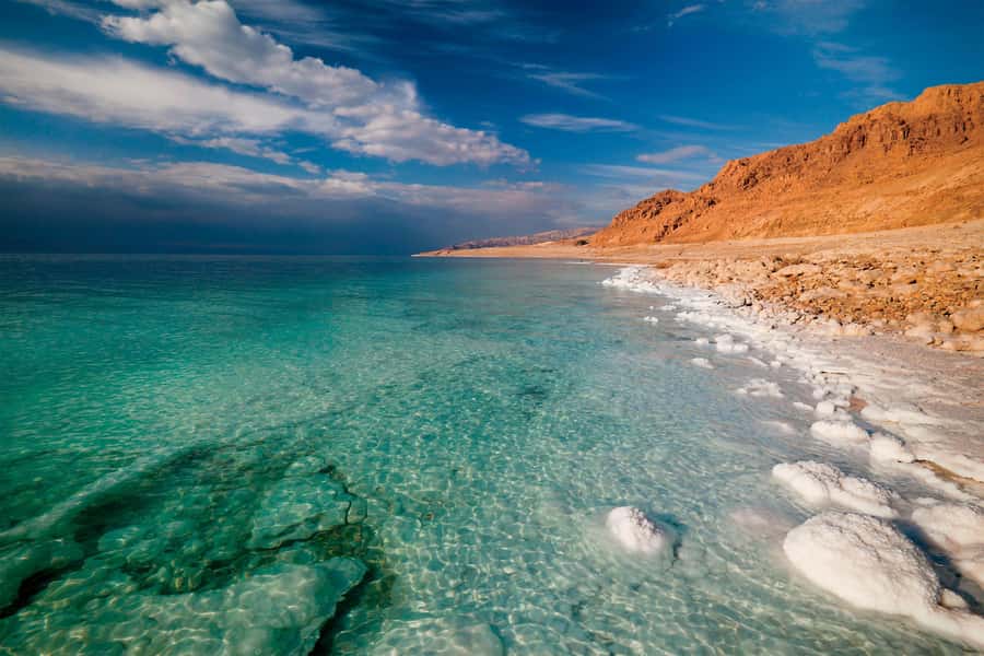 From Amman: Petra and Dead Sea Private Day Tour - Food, stops, and small practical extras
