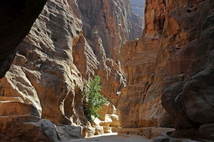 From Amman: Petra and Dead Sea Private Day Tour - Should you book it?