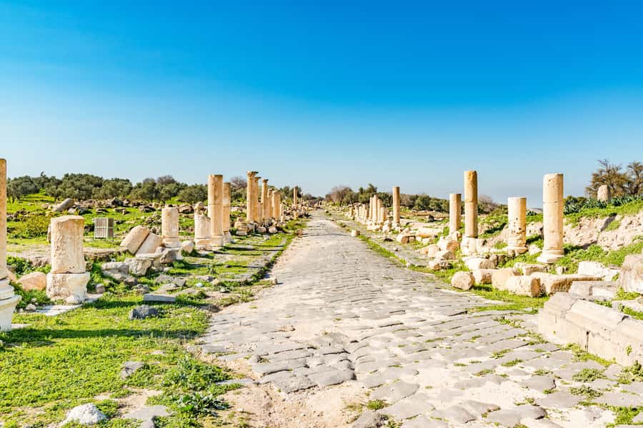 From Amman: Private Jerash, Ajloun Castle, and Umm Qais Tour - Key points at a glance