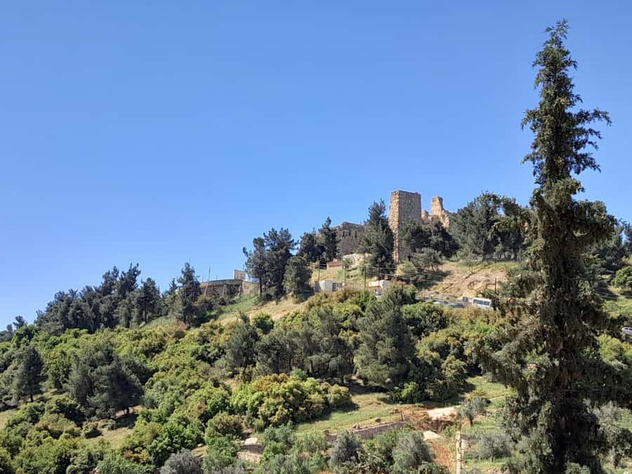 From Amman: Private Jerash, Ajloun Castle, and Umm Qais Tour - Umm Qais is about ruins and the view