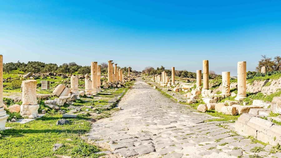 From Amman: Private Jerash, Ajloun Castle, and Umm Qais Tour - Should you book the Jerash, Ajloun, and Umm Qais tour?