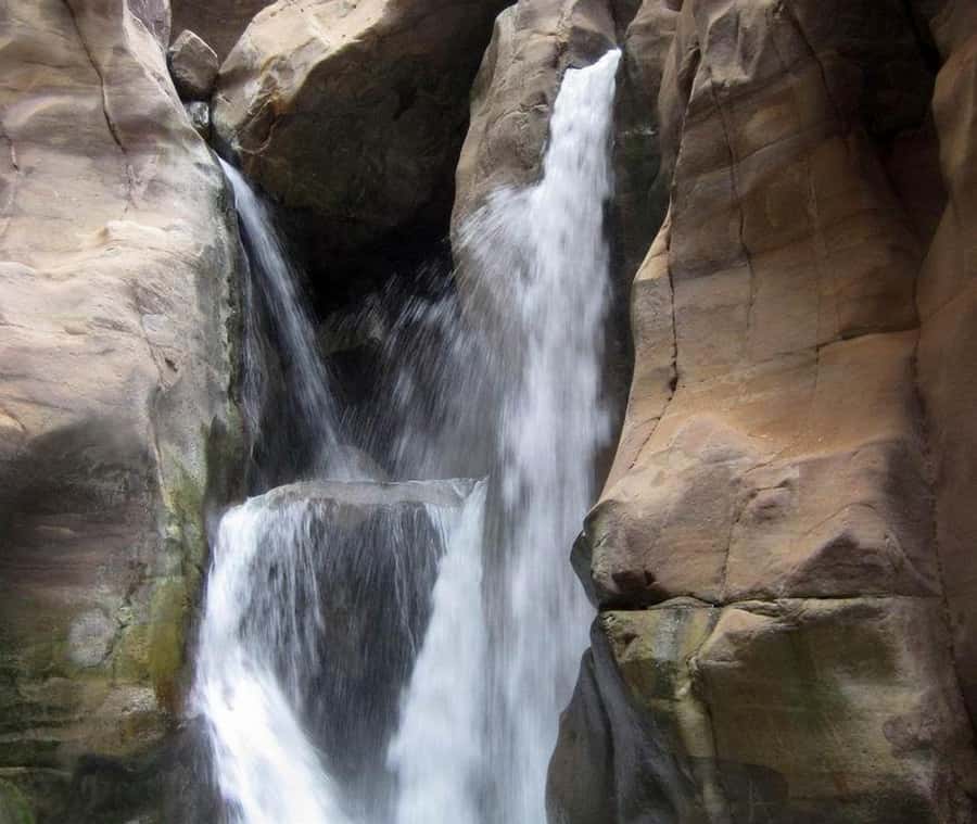 From Amman:To Al-Mujib Canyon & Dead Sea Salt Beach Day Trip - What the $97 price really covers