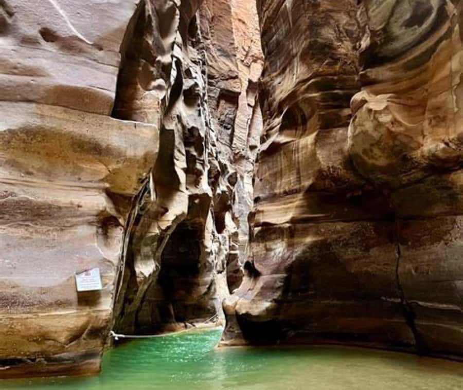 From Amman:To Al-Mujib Canyon & Dead Sea Salt Beach Day Trip - Who should book this experience